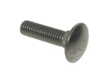 M6 X 30    A2 CUP SQUARE BOLT